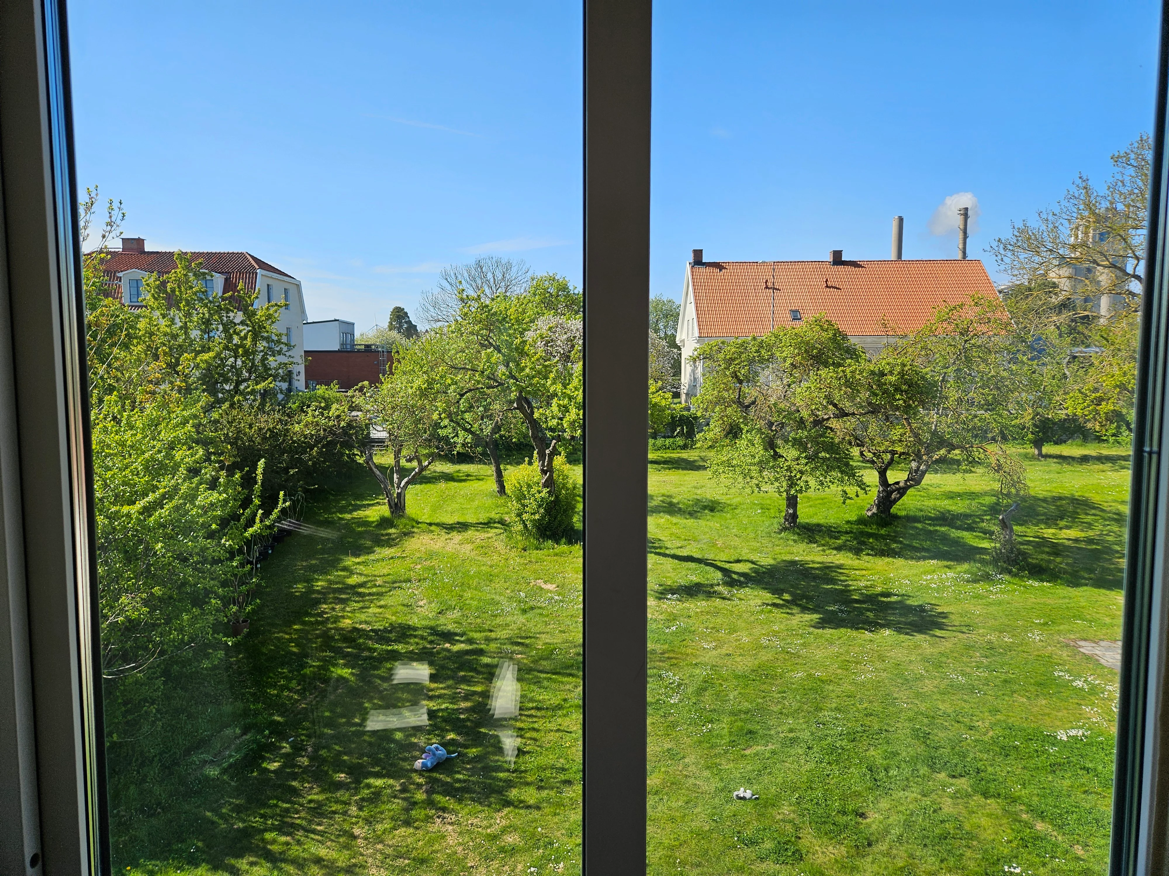 Trädgård med frukt träd